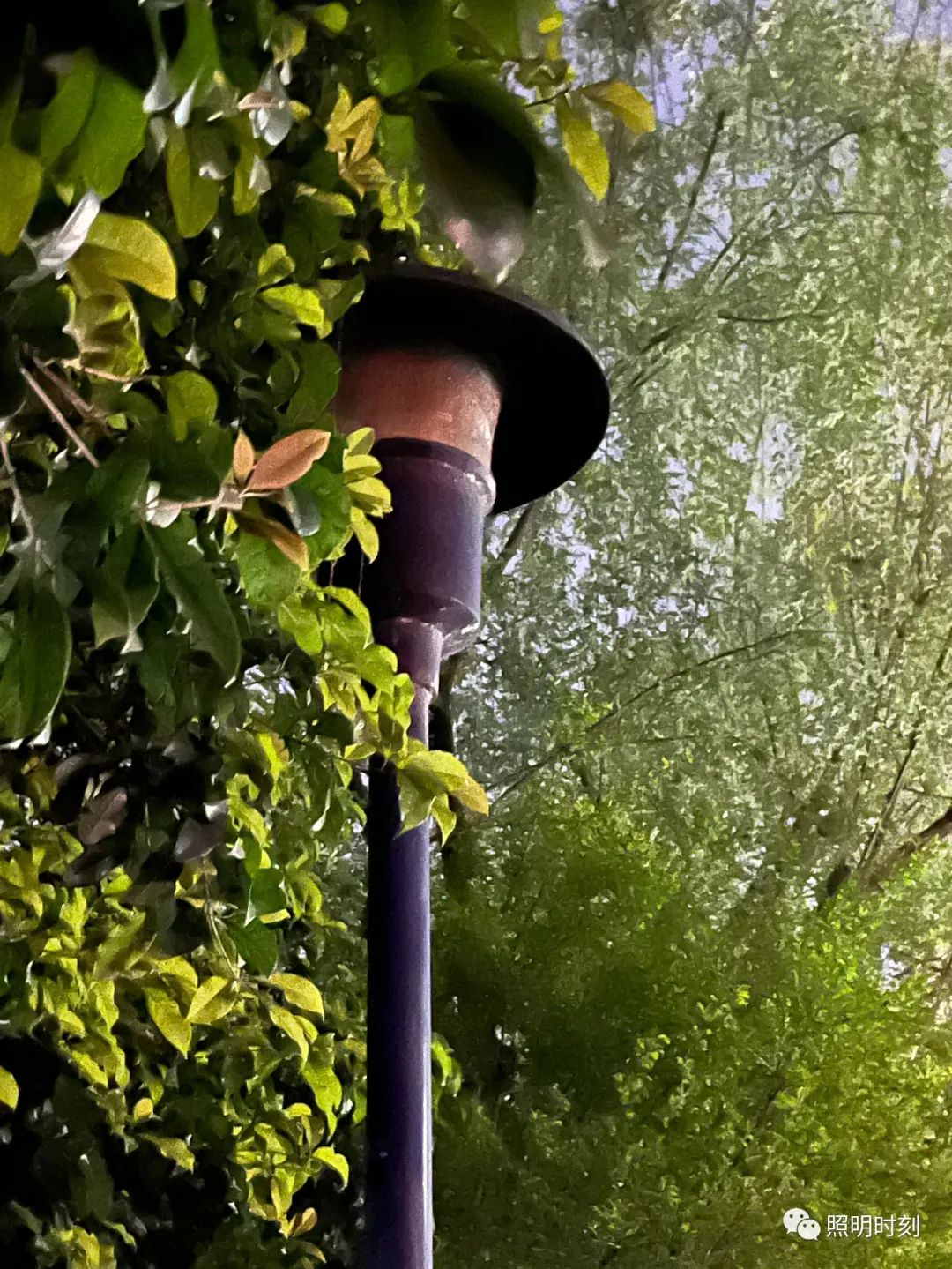 室外灯具也要讲究卫生(图3)